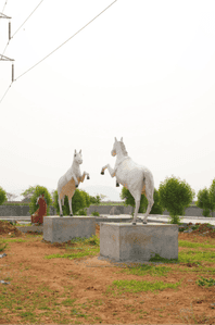 Project Image of 200.42 - 14255.4 Sq.ft Residential Plot Plot for buy in Evergreens Kohinoor