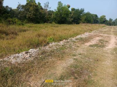 Project Image of 1440.0 - 3600.0 Sq.ft Residential Plot Plot for buy in Trinayan Enclave