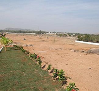 Suchirindia Oyster Blue Images for Elevation of Suchirindia Oyster Blue 1