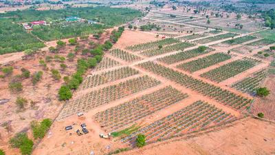 Project Image of 1800.0 - 3600.0 Sq.ft Residential Plot Plot for buy in USM My City Go Ranch