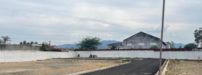 Project Images
