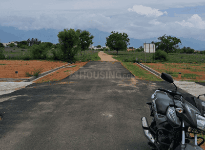 Project Images