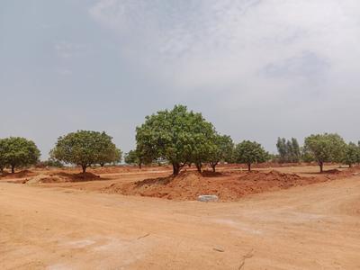 Project Image of 1422.0 - 5481.0 Sq.ft Residential Plot Plot for buy in Divyasri Mercury Township