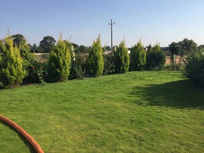Project Image of 1200.0 - 2400.0 Sq.ft Residential Plot Plot for buy in Max Dharani