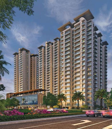 Renox Thrive - Image 3