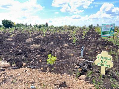 Project Image of 5445.0 - 43560.0 Sq.ft Residential Plot Plot for buy in Lotus Mana Polam