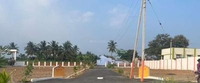 Project Images