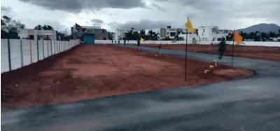 SS Garden Plot 2