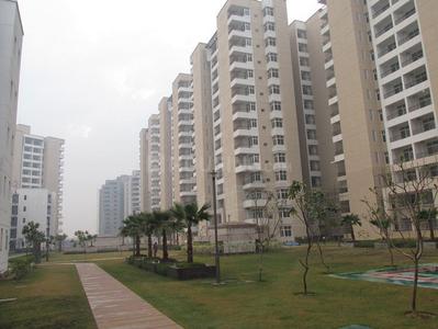 Omaxe Palm Leaf Elevation 1