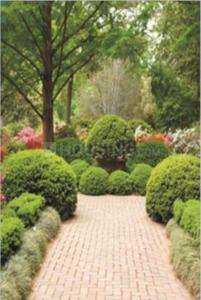 Project Image of 1380.0 - 1511.0 Sq.ft 3 BHK Apartment for buy in Triveni Grand