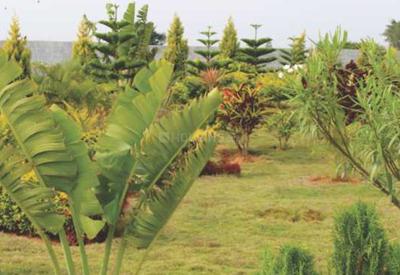 Project Image of 1200.0 - 5000.0 Sq.ft Residential Plot Plot for buy in AVS De Flora