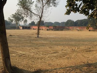 Project Image of 799.97 - 1499.95 Sq.ft Residential Plot Plot for buy in Shri Rudra Royal Town