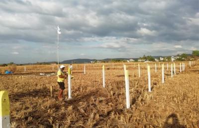 Project Image of 1000.0 - 10000.0 Sq.ft Residential Plot Plot for buy in Plot Guru In Belondekhar