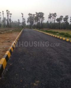 Project Images
