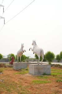 Project Image of 1645.05 - 7144.76 Sq.ft Residential Plot Plot for buy in Evergreens Kohinoor