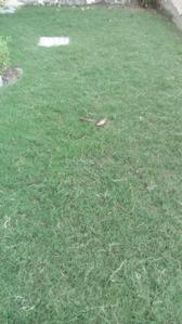 Project Image of 963.0 - 1614.48 Sq.ft Residential Plot Plot for buy in G And G Amolik Blossom Woods