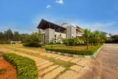 Gallery Cover Pic of Ferns North Star
