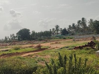 Project Image of 1200.0 - 14016.33 Sq.ft Residential Plot Plot for buy in Arvind The Park
