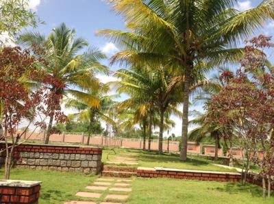 Project Image of 0.0 - 1200.0 Sq.ft Residential Plot Plot for buy in MV Paradise