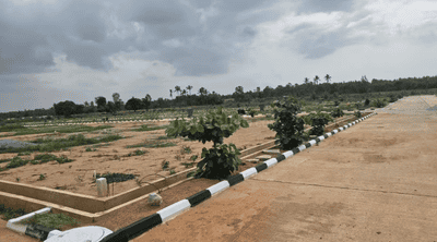 Project Image of 407.63 - 2873.86 Sq.ft Residential Plot Plot for buy in United Serinity