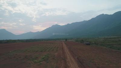 Project Image of 1000.0 - 15681.0 Sq.ft Residential Plot Plot for buy in Chettinad Farms