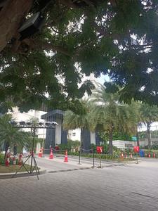 Lodha Bellezza P1 Gated Community 1