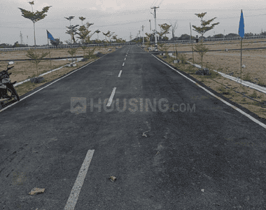 Project Images