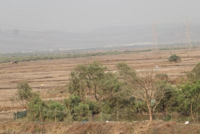 Project Image of 1000.0 - 10000.0 Sq.ft Residential Plot Plot for buy in MJ Plots In Ranjanpada