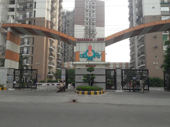 Maxblis Glory - Image 3