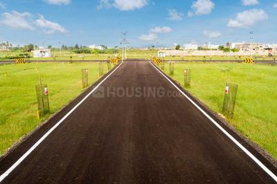 Tellus Avenue Phase 1 Elevation 2