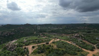 Project Image of 1629.01 - 45000.03 Sq.ft Residential Plot Plot for buy in Aliens Aliens Hub