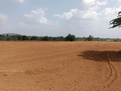 Project Image of 1000.0 - 10000.0 Sq.ft Residential Plot Plot for buy in Plotwale Ranjanpada