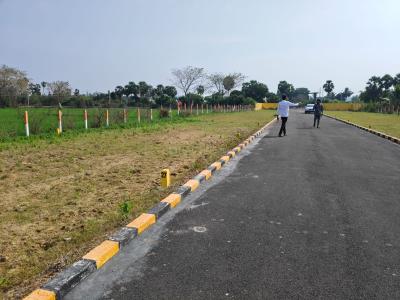 Project Image of 650.0 - 1600.0 Sq.ft Residential Plot Plot for buy in Crown Oxi Zone Green Garden