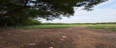 Project Image of 1191.78 - 1205.67 Sq.ft 3 BHK Apartment for buy in Parth The Amore