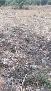 Project Image of 1000.0 - 10000.0 Sq.ft Residential Plot Plot for buy in Mahamum Plots In Uran