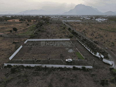 Project Image of 1075.13 - 1426.8 Sq.ft Residential Plot Plot for buy in Crest Manchester Crest