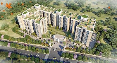 ARG Maple Heights Elevation 1