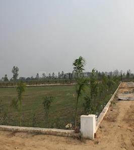 Project Images