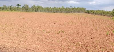 Project Image of 600.0 - 4000.0 Sq.ft Residential Plot Plot for buy in Purva Telecom Smart City 2
