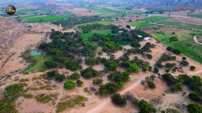 Project Image of 2199.5 - 6772.33 Sq.ft Residential Plot Plot for buy in Aliens Hub