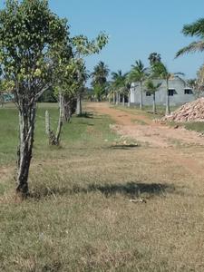 Project Image of 450.0 - 2400.0 Sq.ft Residential Plot Plot for buy in Miraacle Green Town Villa Plots Ponneri