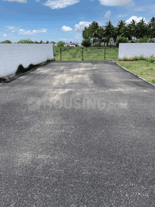 Project Images