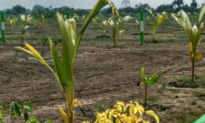 Project Image of 9600.0 - 19999.0 Sq.ft Residential Plot Plot for buy in Kingmakers Farm Land
