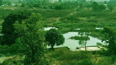 Project Image of 373.83 - 616.66 Sq.ft 1 BHK Apartment for buy in Grow Riverside Greens