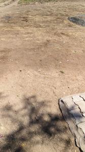 Project Image of 722.26 - 4068.76 Sq.ft Residential Plot Plot for buy in Shri Ram Park
