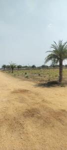 Project Image of 1350.0 - 2700.0 Sq.ft Residential Plot Plot for buy in Mukesh Sez Enclave