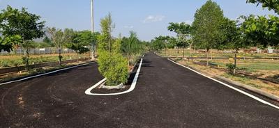 Project Image of 888.0 - 2400.0 Sq.ft Residential Plot Plot for buy in Canterburry Meadows Phase 1