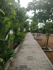 Project Image of 980.0 - 1405.0 Sq.ft 2 BHK Apartment for buy in Arboretum Magnolia