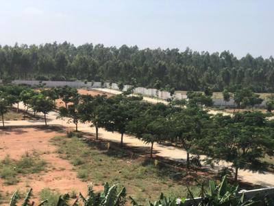 Project Image of 450.0 - 700.0 Sq.ft Residential Plot Plot for buy in Oraiyan Moon Park