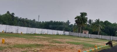 Project Image of 600.0 - 2400.0 Sq.ft Residential Plot Plot for buy in Global ECR Garden